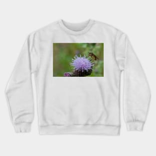 Dance Fly on Thistle Flower Crewneck Sweatshirt